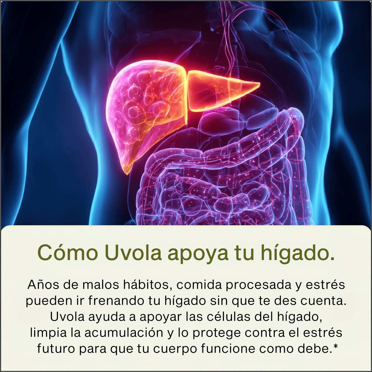 Uvola | Apoyo con Cardo Mariano