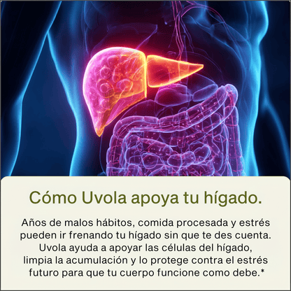 Uvola | Apoyo con Cardo Mariano
