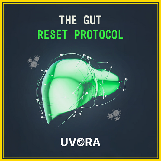 FREE - Gut Reset Protocol eBook